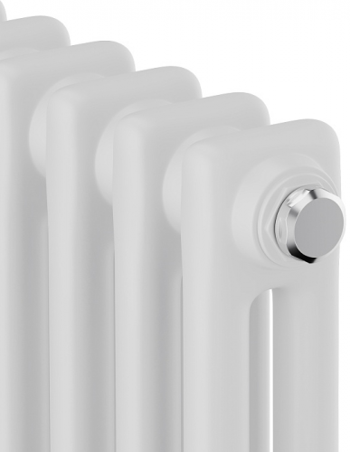 Стальной трубчатый радиатор 2-колончатый Royal Thermo Insignia VC2180 - 04 секц. RAL9016, нижнее 1/2