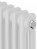 Стальной трубчатый радиатор 2-колончатый Royal Thermo Insignia VC2180 - 08 секц. RAL9016, нижнее 1/2
