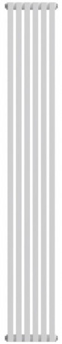 Стальной трубчатый радиатор 2-колончатый Royal Thermo Shift Q30 C2180 - 06 секц. RAL9016, боковое 1/2