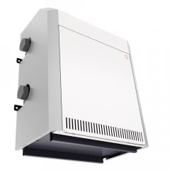 Парапетный  газовый котел Лемакс Патриот-10